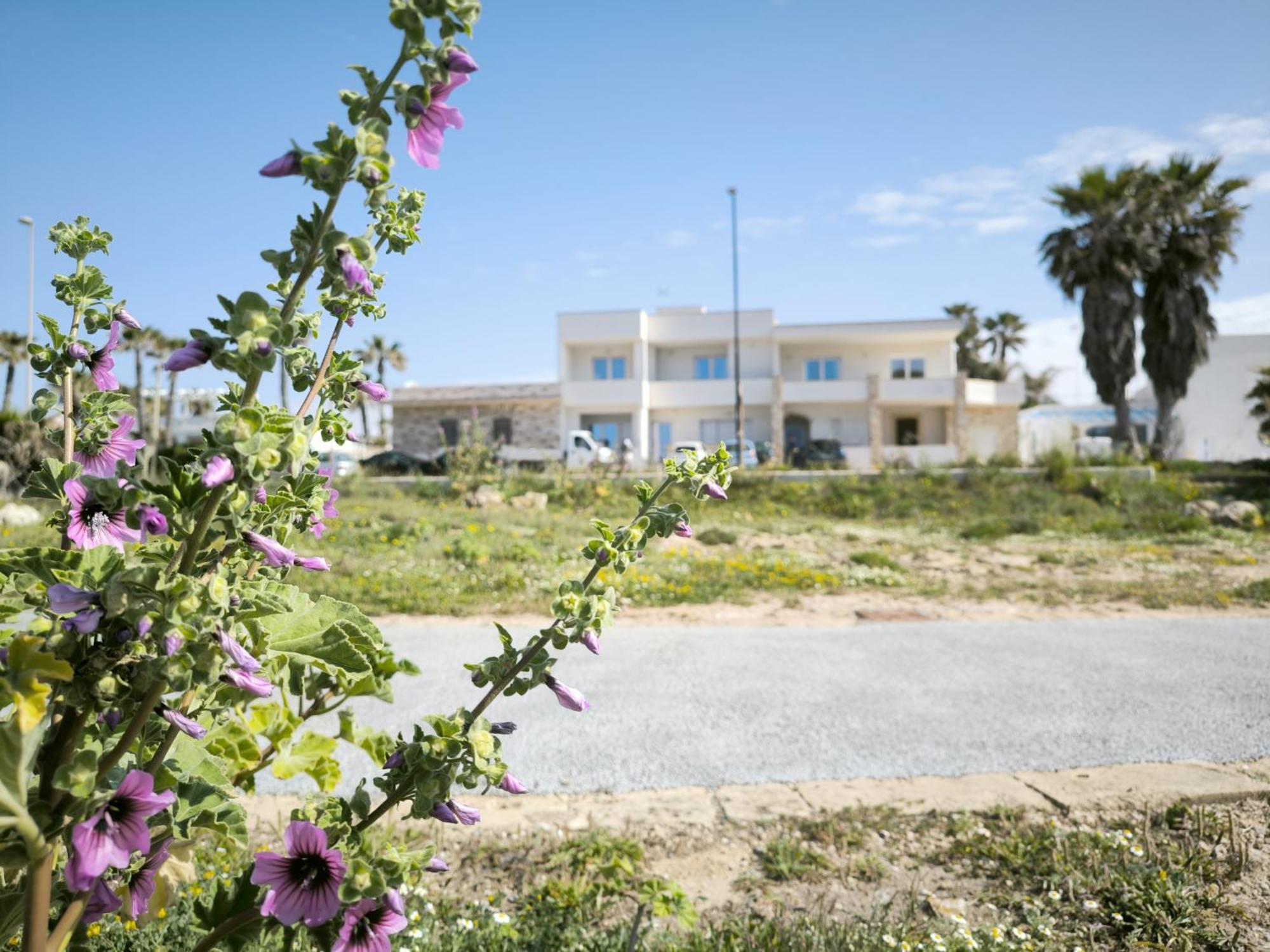 Apartamento Perla Salentina Fronte Mare Puglia On Line Capilungo Exterior foto