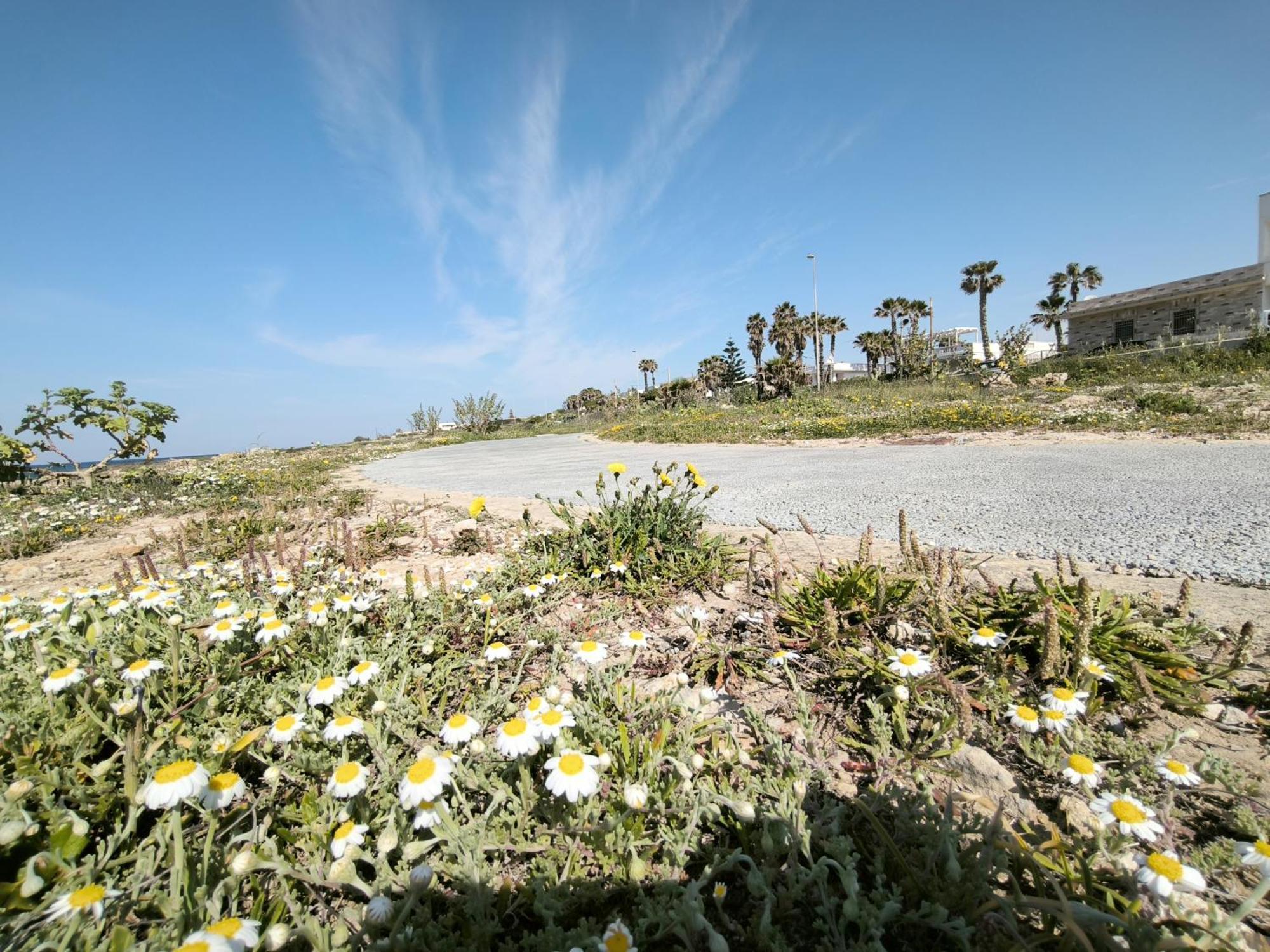 Apartamento Perla Salentina Fronte Mare Puglia On Line Capilungo Exterior foto